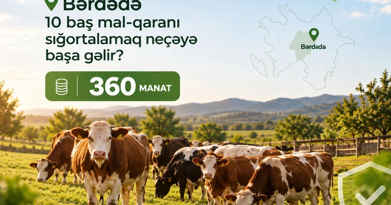 İribuynuzlu heyvanların aqrar sığortası fermerlərə maliyyə risklərindən qorunmağa imkan verir