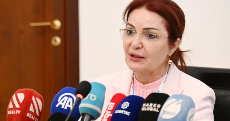 Aygün Attar: Azərbaycan beynəlxalq münasibətlərdə təşəbbüskar aktor kimi mövqeyini gücləndirir