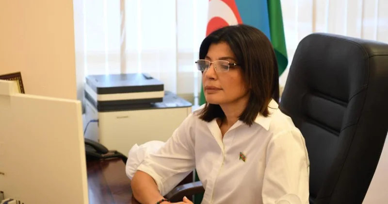 TÜRKPA ya üzv dövlətlər arasında vahid informasiya məkanının yaradılması diqqət mərkəzində