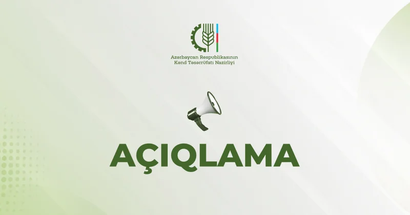 Kənd Təsərrüfatı Nazirliyi pambıq məhsulunun dəyərini ala bilməyən fermerlərlə bağlı açıqlama yayıb