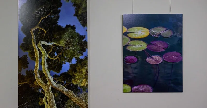 Rauf Əskəri Nəsirovun “Əksetmə” adlı fotosərgisinin açılışı keçirilib (Foto)
