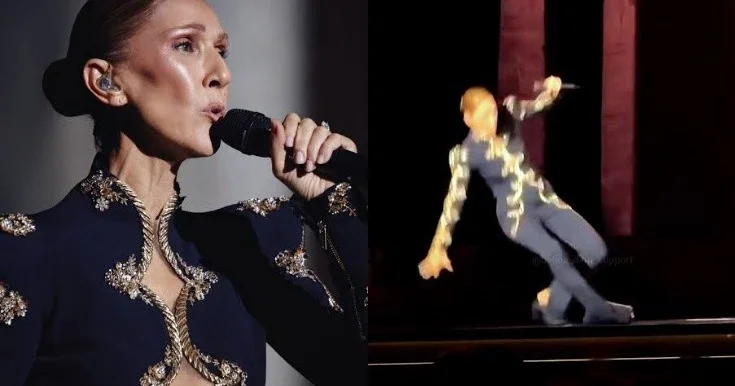 Selin Dion səhnədə yıxıldı Video