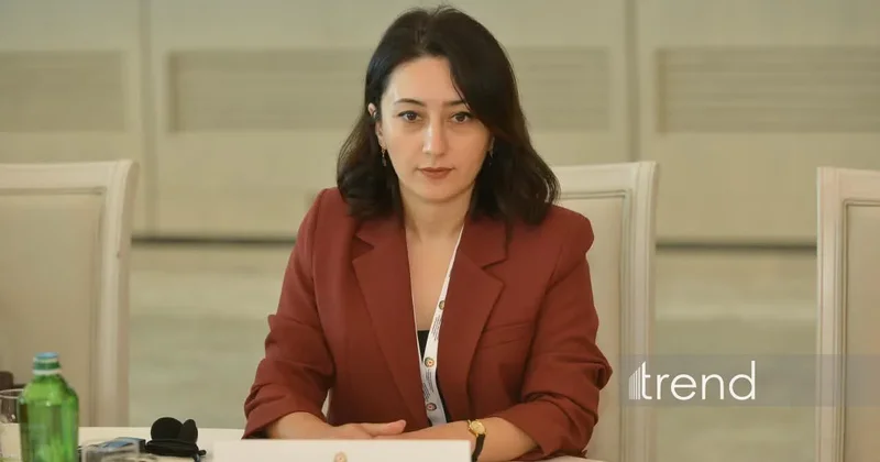 Джамиля Байрамова рассказала об идентификации останков, подвергавшихся многолетнему воздействию
