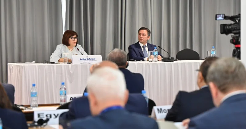 Sahibə Qafarova Tanzaniyada Qoşulmama Hərəkatı Parlament Şəbəkəsinin koordinasiya iclasına sədrlik edib