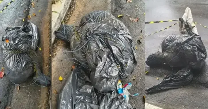Braziliyada qan donduran cinayətlər artır...