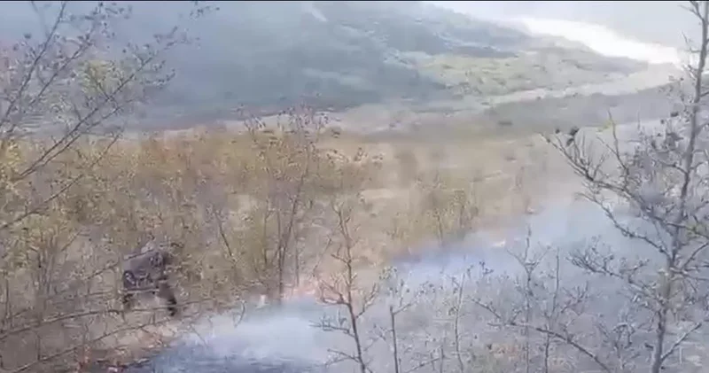 Пожар в лесу в Шамахы ВИДЕО