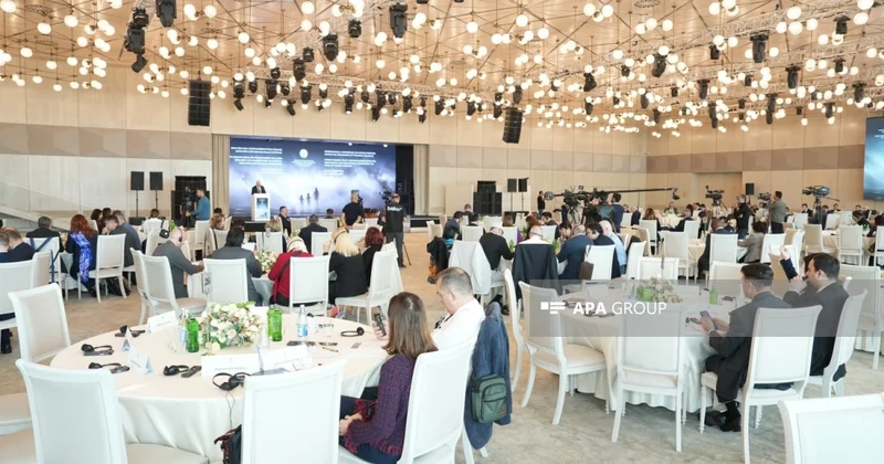 İtkin düşmüş şəxslər üzrə beynəlxalq konfransda humanitar əməkdaşlığın gücləndirilməsi müzakirə olunub FOTO