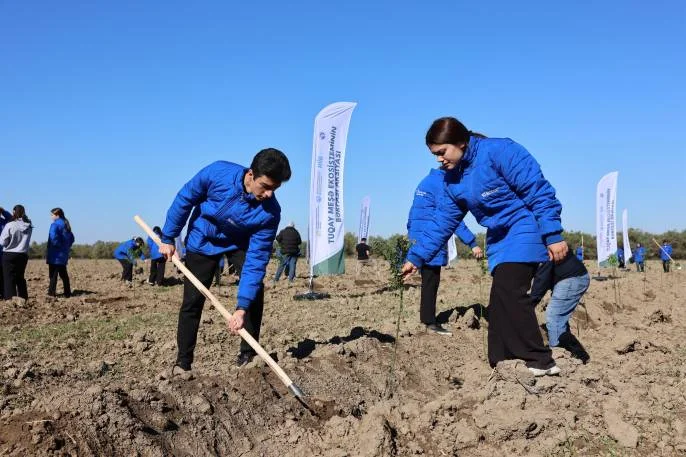 Hacıqabulda Tuqay meşəsinin bərpası aksiyası keçirilib FOTO