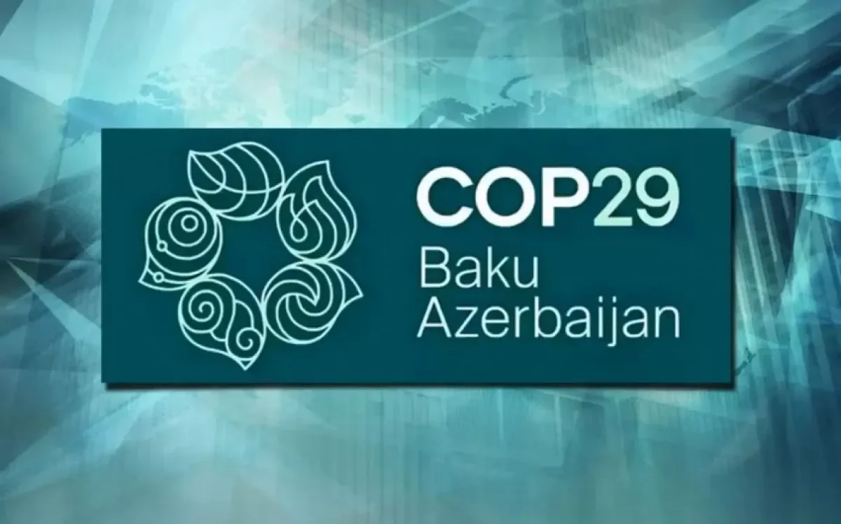 Павильон на COP29 Фондов Гейдара Алиева и нулевых отходов Турции ВИДЕО