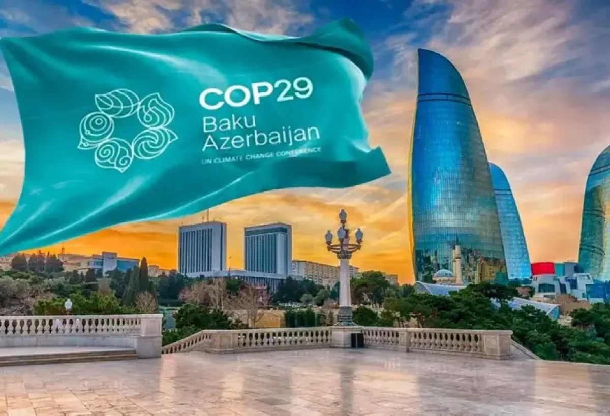 Как можно принять участие в COP29? в качестве зрителя