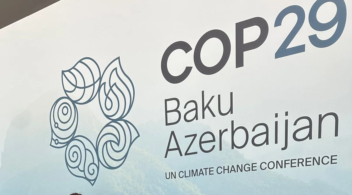 COP29 çərçivəsində mədəni proqramların təşkili nəzərdə tutulub