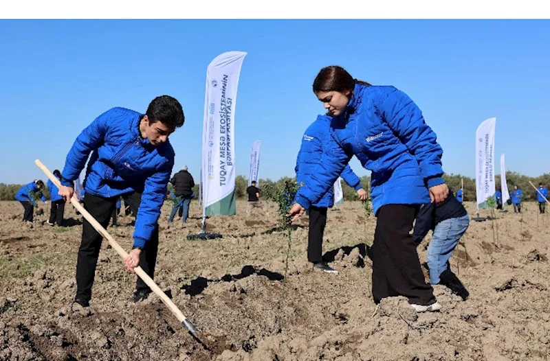 Hacıqabulda Tuqay meşəsinin bərpası aksiyası keçirilib FOTOLAR