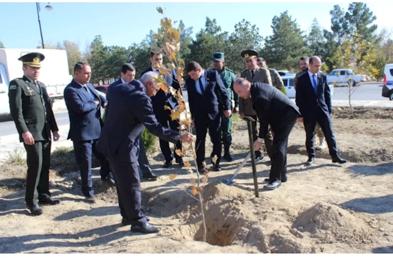 Ordubadda növbəti ağacəkmə aksiyası FOTOLAR