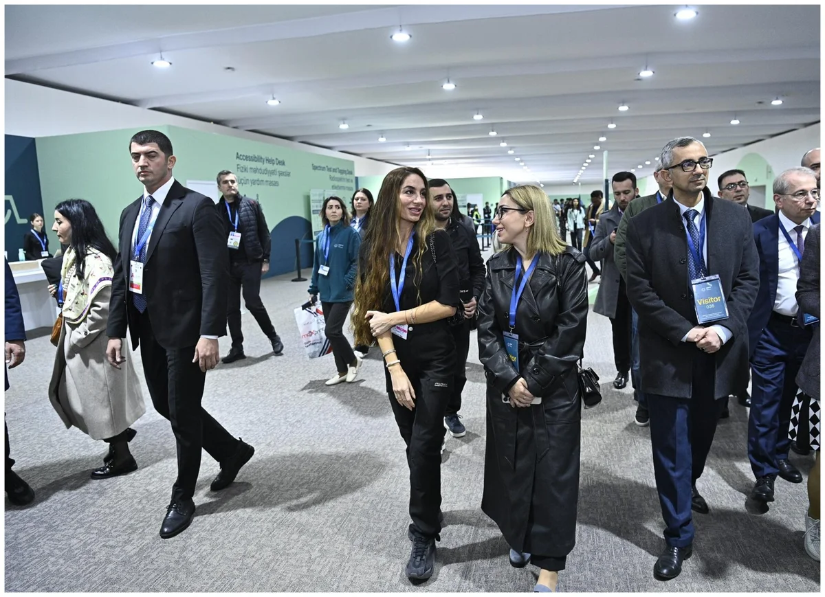 COP29a hazırlıqla bağlı yekun işlərlə tanışlıq FOTOLAR