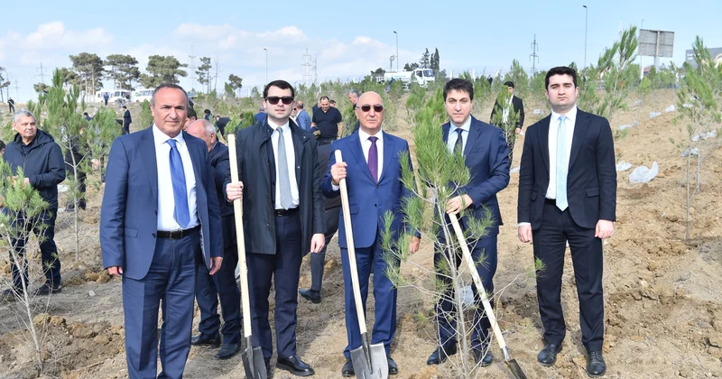 Госагентство водных ресурсов высадило деревья в память о шехидах фото