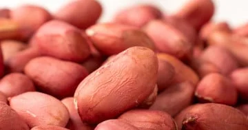 Beyin fəaliyyətini yaxşılaşdıran bir məhsul...