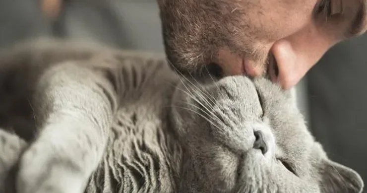 Pişiyi öpmək olarmı? Sevgini göstərməyin təhlükəsiz yolları