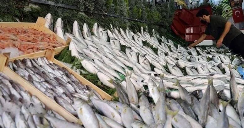 Noyabrın faydalı balıqları məlum oldu