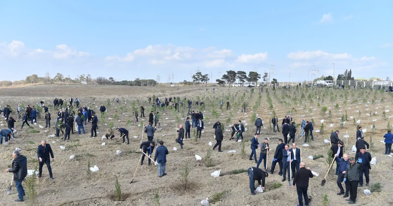 Zəfər Günü münasibətilə Ceyranbatan su anbarının ərazisində ağacəkmə aksiyası təşkil edilib