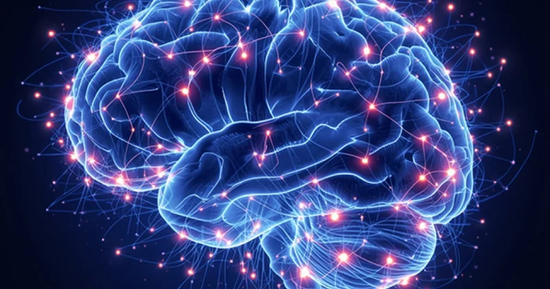 UNESCO neyrotexnologiyaların etik aspektlərinə dair ilk qlobal standartı qəbul edir