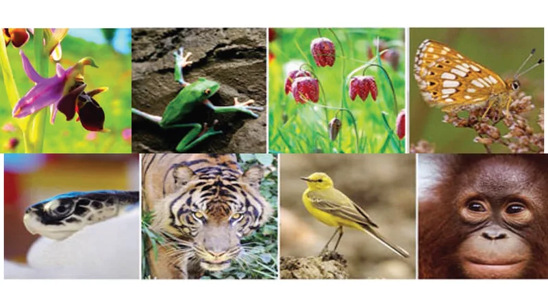 “Beynəlxalq səviyyədə həmrəyliyə və əməli tədbirlərə ehtiyac var” DEPUTAT DANIŞDI