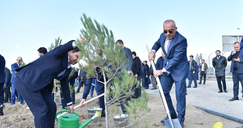 Ağacəkmə aksiyası təşkil edilib KONKRET