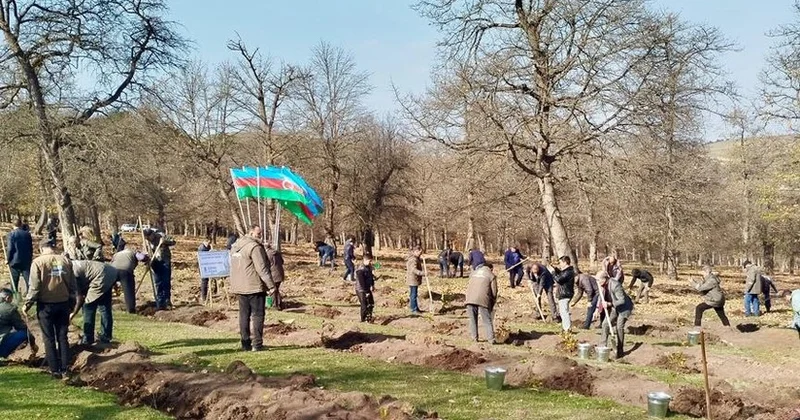 Zəfər Günü ilə əlaqədar meşə fondu torpaqlarında 30 mindən artıq ağac əkilib