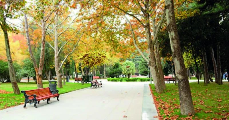 İlıq bir şənbə günü