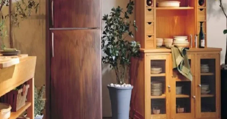 Bunu soyuducunun üstünə qoyun, eviniz pulla dolacaq