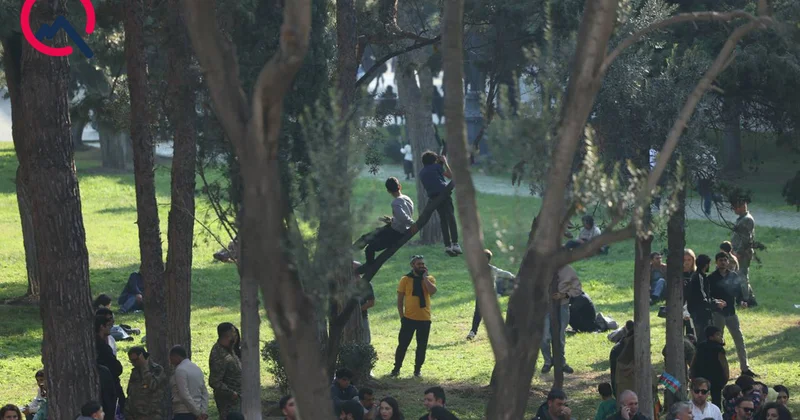 Kimisi ağacda, kimisi qapının üstündə… Paradı belə izlədilər Fotolar