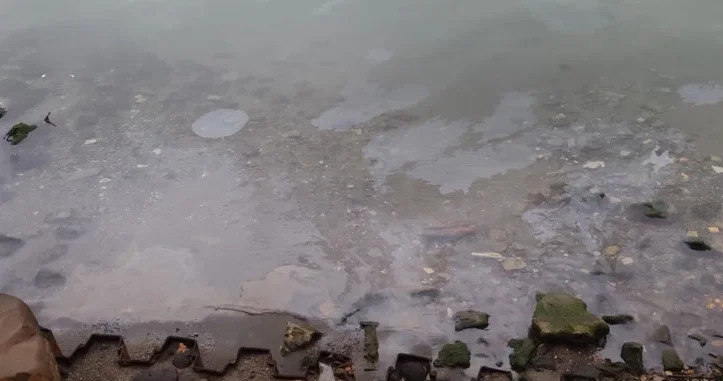 Маслянистая пленка поглощает прибрежные воды Баку Заявление эколога