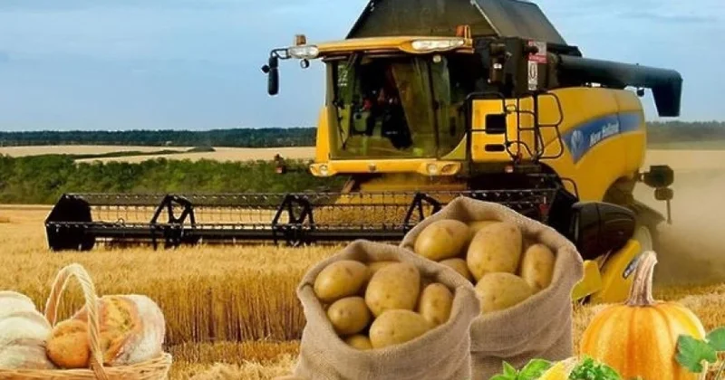 Bu kənd təsərrüfat məhsulları bahalaşa bilər KONKRET