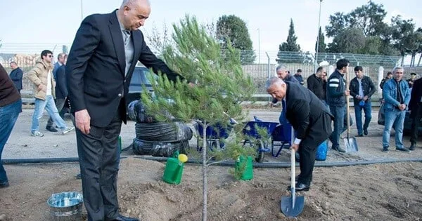 ADSEA tərəfindən 1850 ağac əkildi