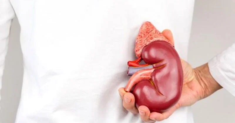 Hər 10 ölümdən birinin səbəbi: Xroniki böyrək çatışmazlığı