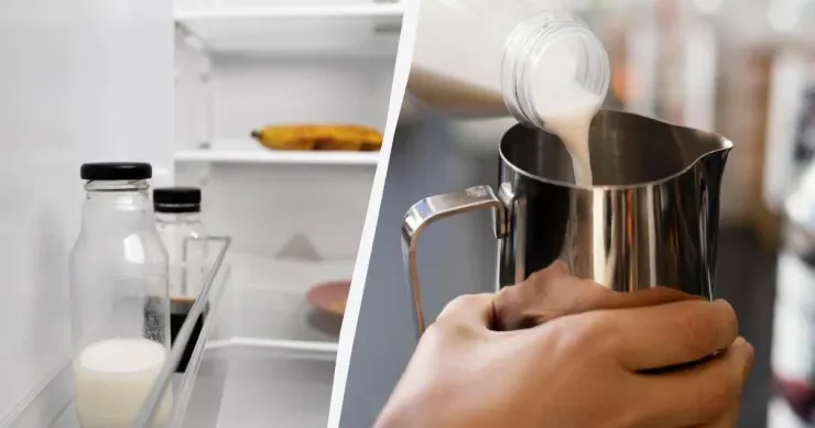 Soyuducuda süd saxlamaq üçün ən yaxşı yer haradadır?