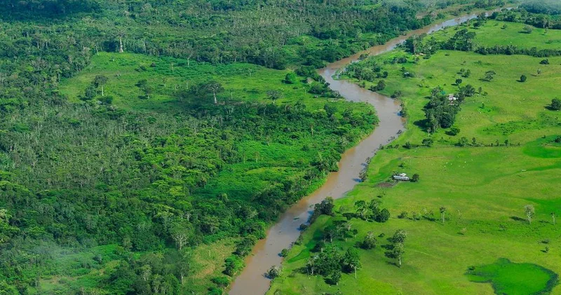 74 ölkəni əhatə edən TFFF nədir, nəyi hədəfləyir?