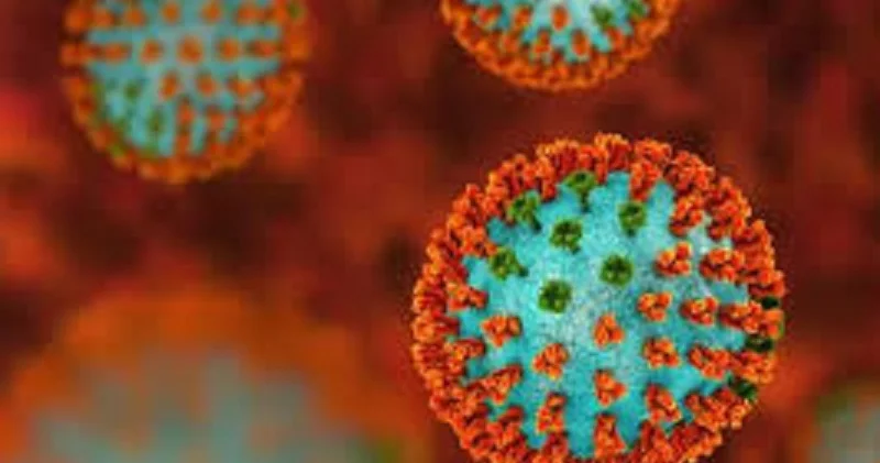 İranda yeni qrip növü Qərbi Azərbaycanda məktəblər bağlandı