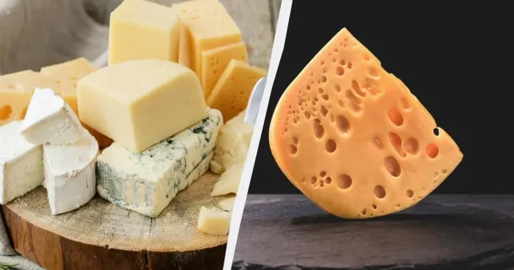 Pendir niyə soyuducuda belə tez xarab olur?