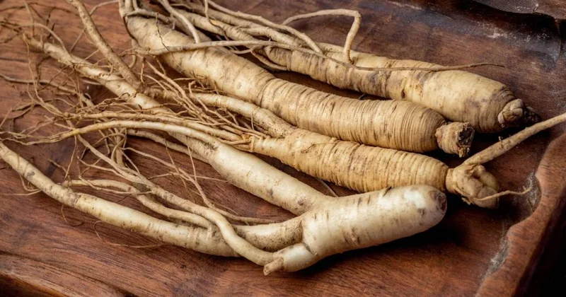 Libido artıran qida əlavəsi ilə bağlı xəbərdarlıq İlk dəfə qeydə alındı: Sağlam qadında belə...