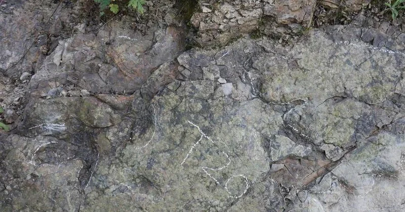 В Китае обнаружили следы динозавров возрастом около 200 млн лет