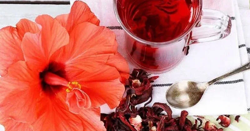 Qaraciyər, böyrək və ürək xəstəlikləri üçün Əla VASİTƏ