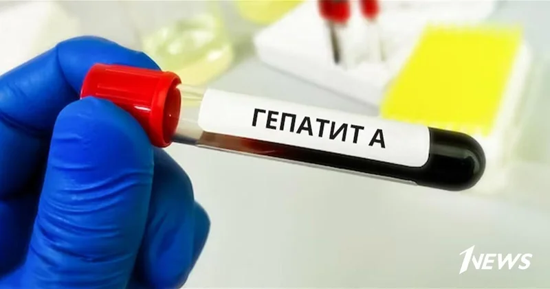 В Чехии жертвой вспышки гепатита А стали более 30 человек