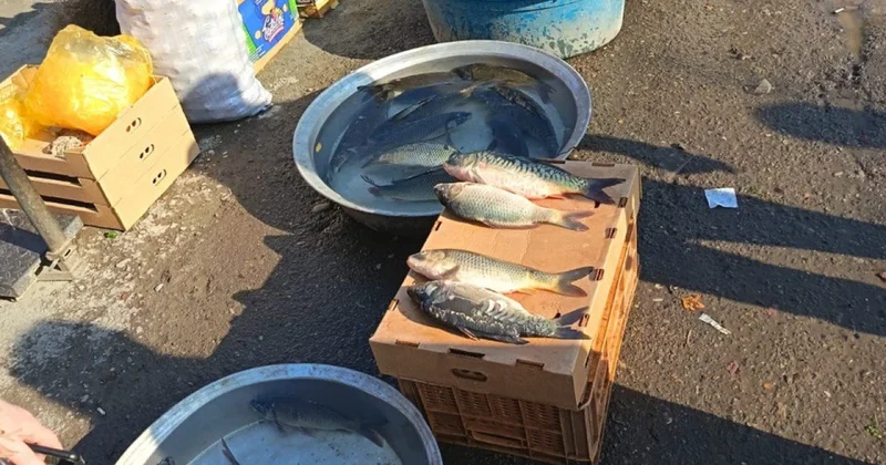 Bu bazarlarda monitorinqlər aparıldı Nöqsanlar aşkarlandı (VİDEO)