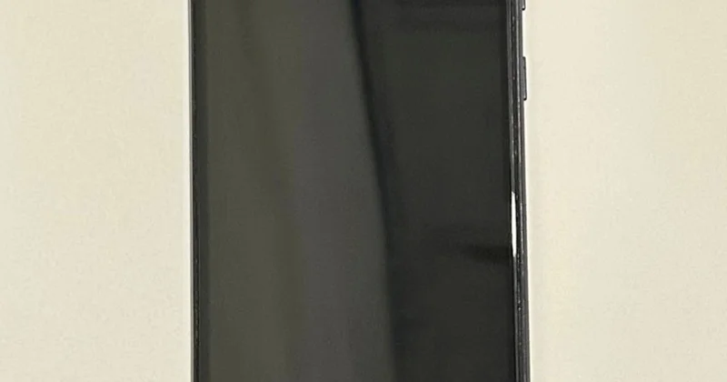 Həbsxanaya telefon keçirmək istədilər