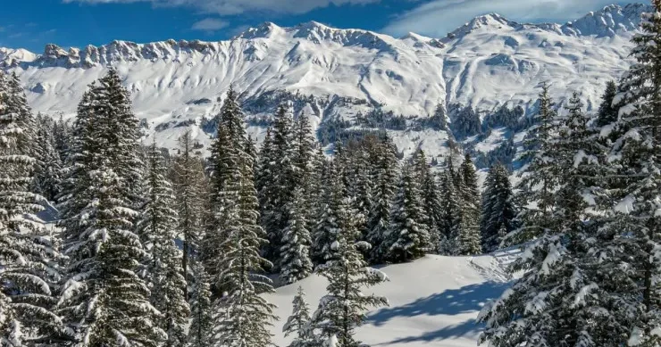 Qar yağacaq, yağış leysana dönəcək Sabahın HAVASI