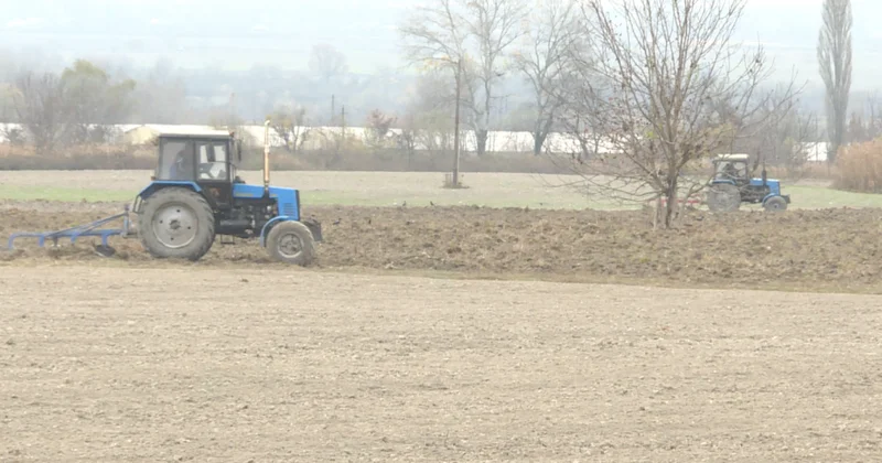 Dincə qoyulan torpaqlara subsidiya veriləcək fermerlər və mütəxəssislər yeni qaydanın əhəmiyyətini açıqlayırlar