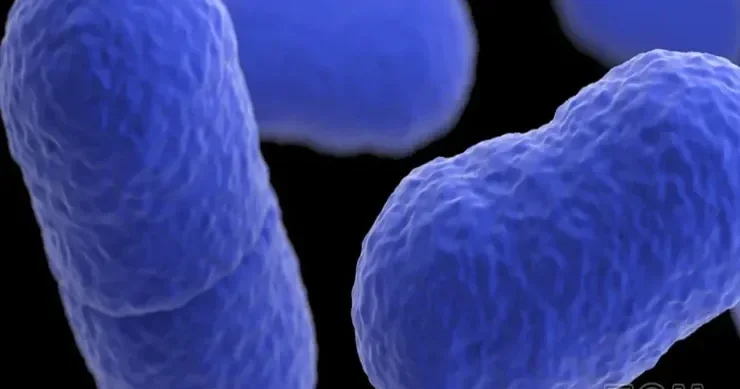 Təyyarələr və xəstəxanalardakı hava eyni dərəcədə çirklidir Təfərrüatlar