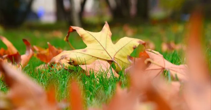 Dekabrın 9 da gözlənilən hava şəraiti