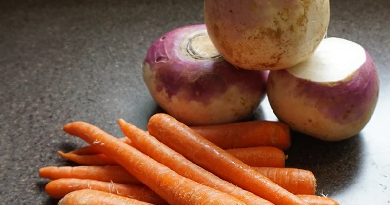 Azərbaycan Moldovaya yerkökü və şalğam tədarükünü bərpa edib