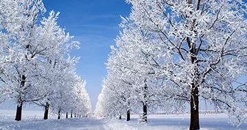 Avropa “əsrin qışı” ilə üzləşə bilər...